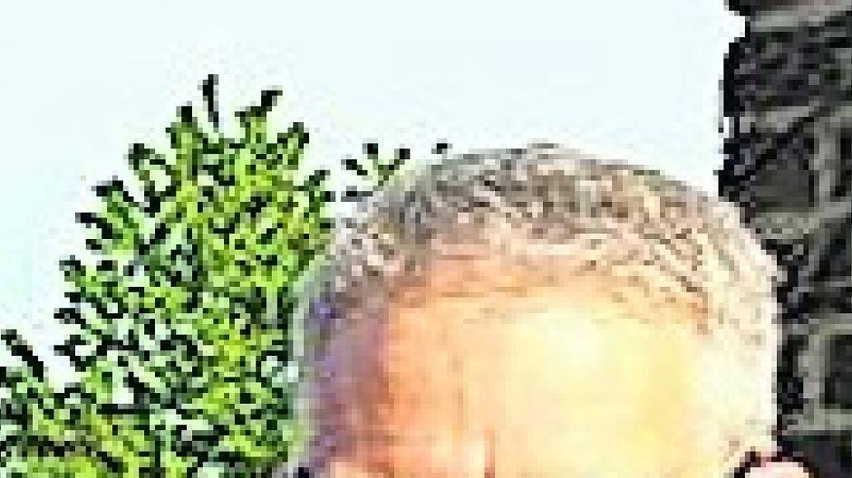 Wahlausschuss des Kreises akzeptierte alle Bewerber: Sieben Kandidaten für Berlin: Wer Chancen hat, wer nicht!