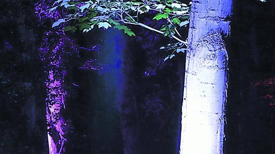  Bunte Lichtstrahler tauchen den Stadtpark in eine ganz besondere Atmosphäre. 