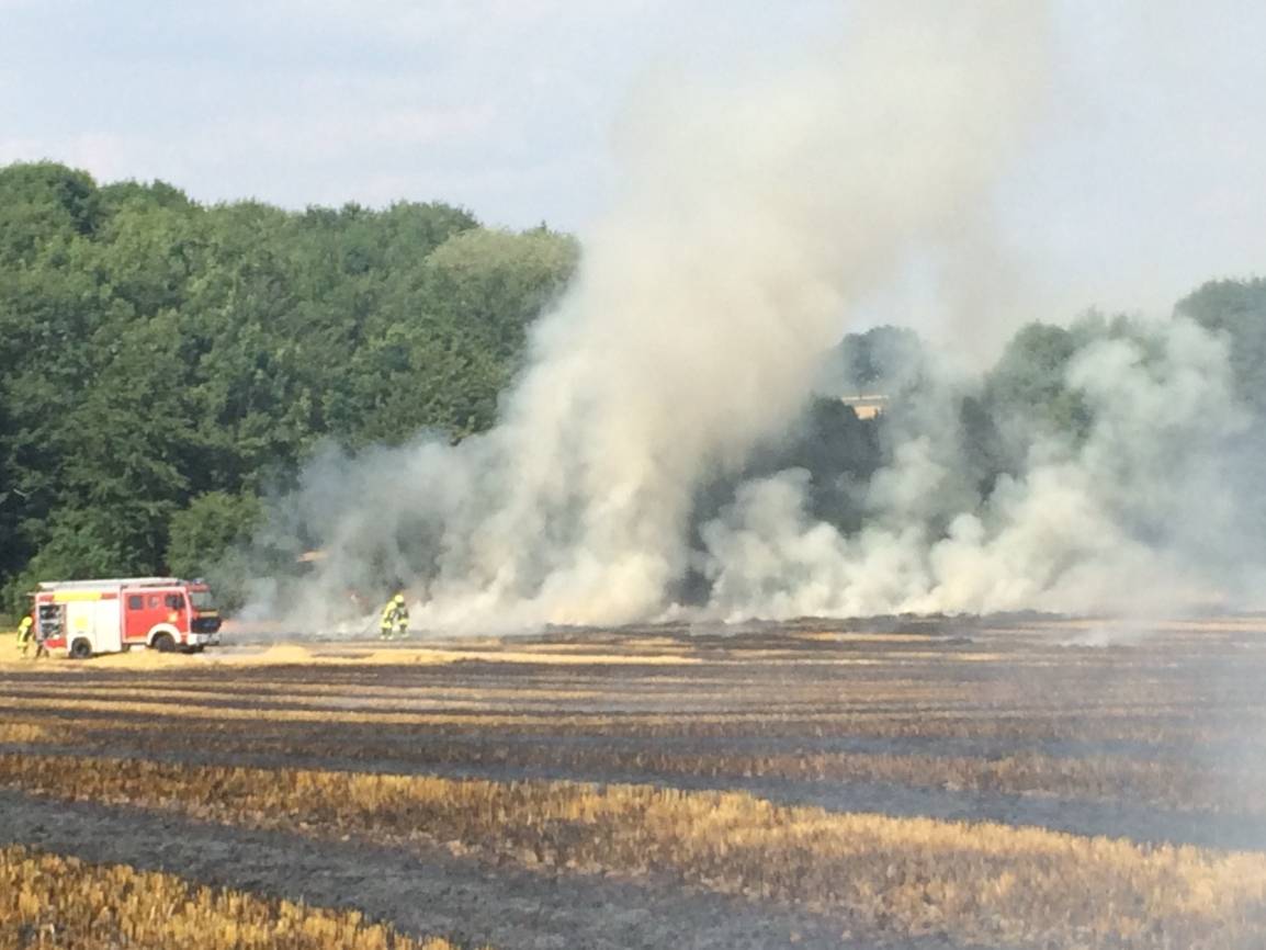 Weite Teiles eines sechs Hektar großen Feldes standen in Brand