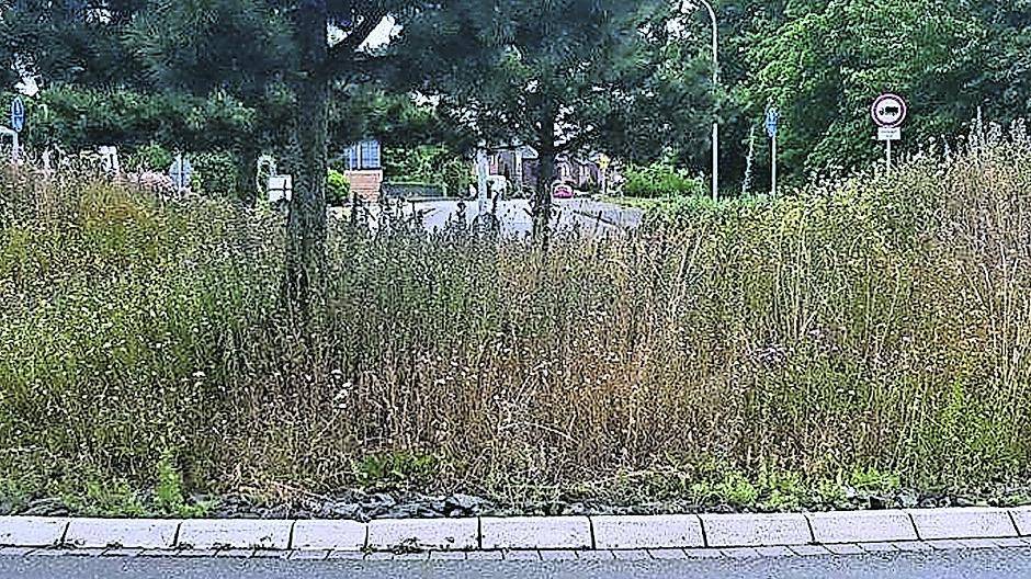  Eigentlich wurde die Verkehrsinsel dieses Kreisverkehres bei der Errichtung liebevoll gestaltet. Heute ist er unansehnlich und dient zur Müllablagerung, so Uwe Holl. 
