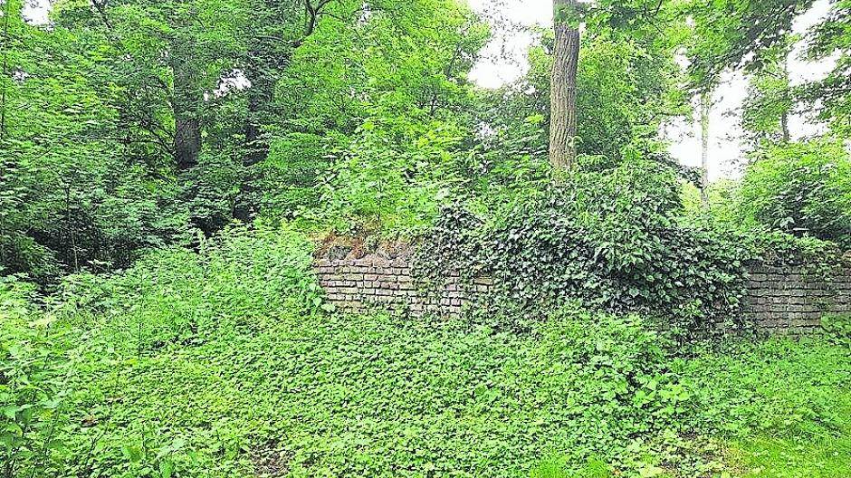 „Die Gartenstadt verdient ihren Beinamen lange nicht mehr“