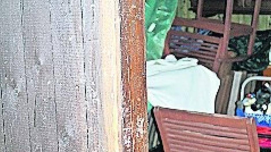 Vandalen zerschnitten zahllose Zäune