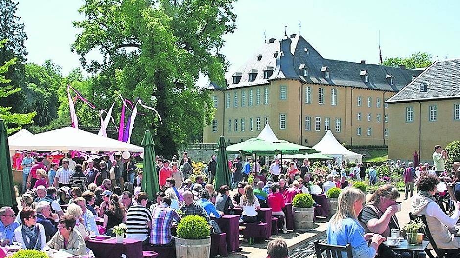 Lust auf Garten — und einen tollen Sommer