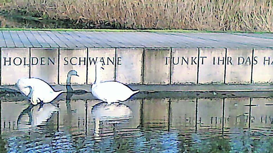 „Kunstwaldpark“ ist einzigartig