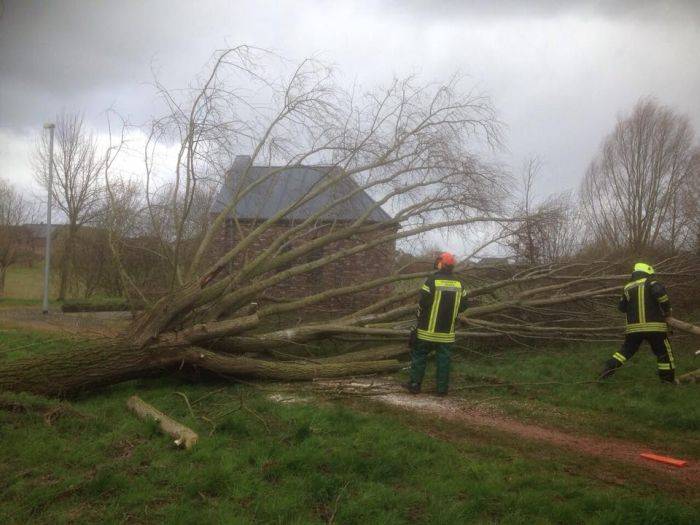 Sturm zieht Baum und Verkehrsschilder in Mitleidenschaft