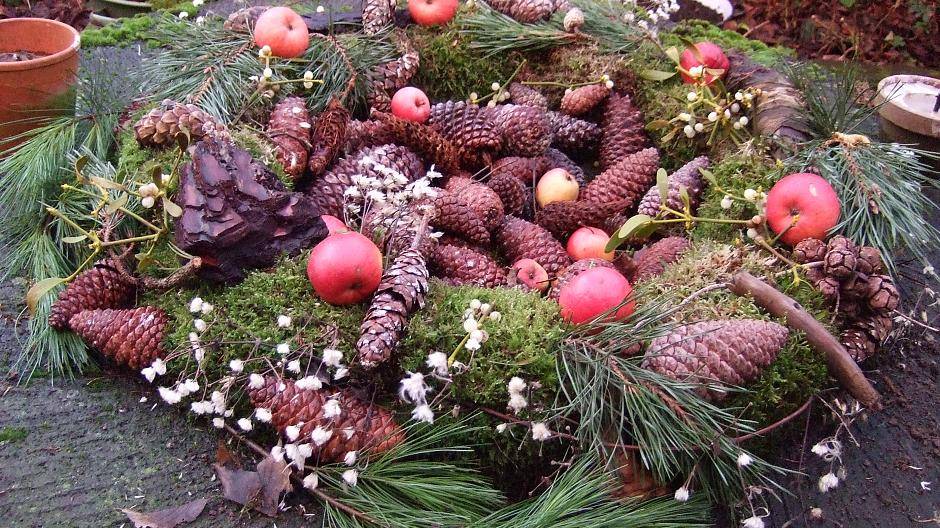 "Dieses Jahr haben wir einen Adventkranz für unsere gefiederten Freunde. Bestückt mit...
