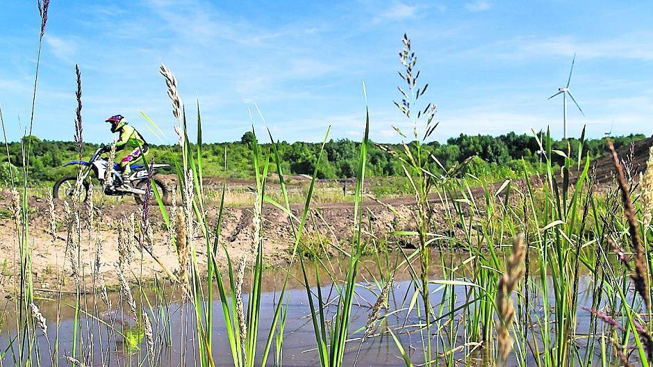 Ungewöhnliche Symbiose: Moto-Cross und Amphibien Jede Menge Kröten tummlen sich in den sandigen Tümpeln