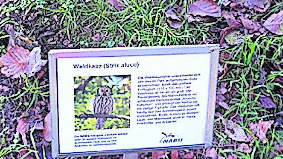  Mit diesen Infotafeln erfahren Besucher des Schlossparks, welche Bewohner die Nistkästen für sich erobert haben. 