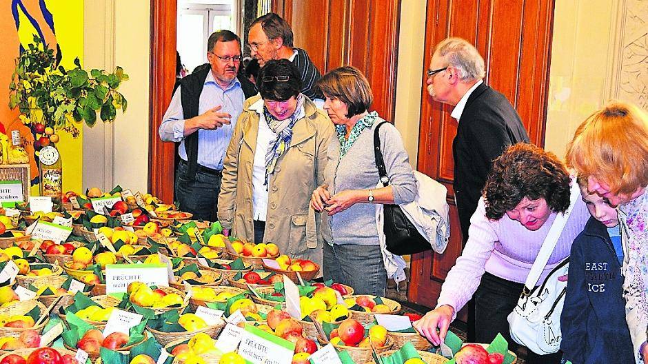 „Deegers Renette“: Auf Stessener Wiese dem Vergessen getrotzt