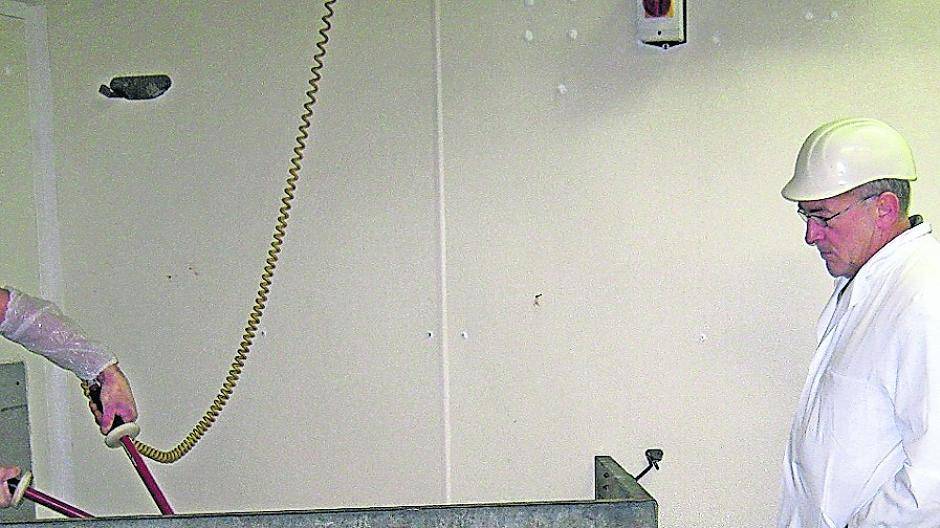  Veterinäramtsleiter Frank Schäfer kontrolliert die Elektrobetäubung eines Schweins. 