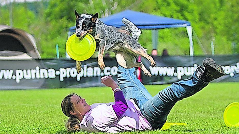  Ein eingespieltes Paar: Sandra Funke mit „Patches“. Die Grevenbroicherin organisiert zusammen mit ihrem Mann das größte Hunde-Frisbee-Turnier der Welt. 