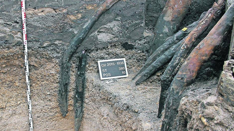  Eine gewaltige Flut hat die Pfähle oberhalb der Rheinschotter-Ebene abgeknickt.  
