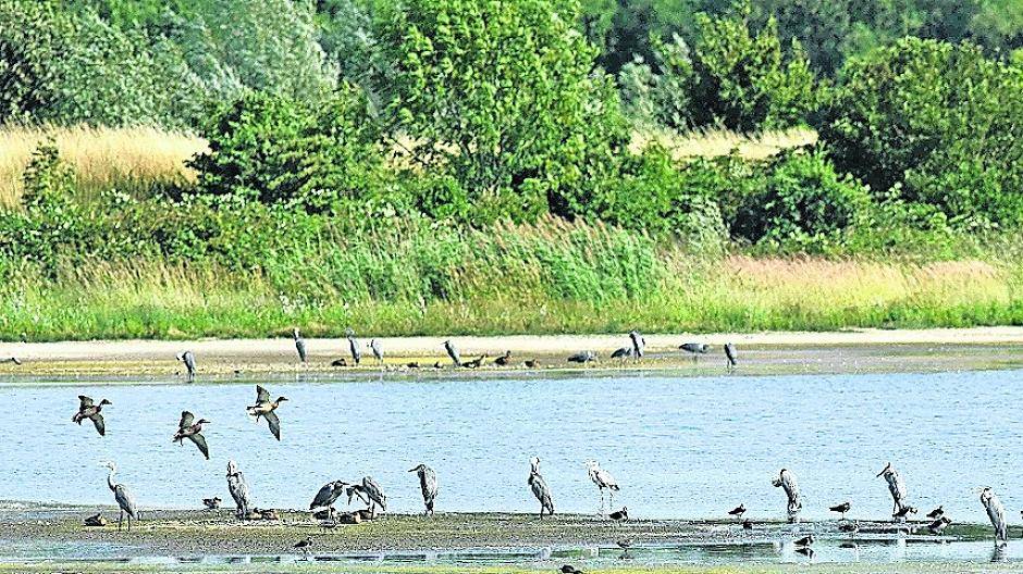 Elsdorfer Fließ trockengefallen wegen privater Badestelle