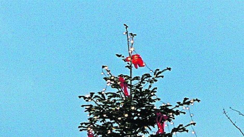  Otzenrather Tannenbaum auf dem Berg am Dorfplatz. 