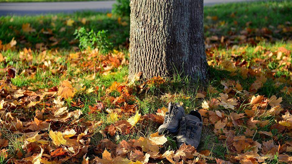  Die Schuhe gehören nicht in die kostenfreie Sammlung, das Herbstlaub schon. Die Gemeinde holt Grünabfälle ab. 