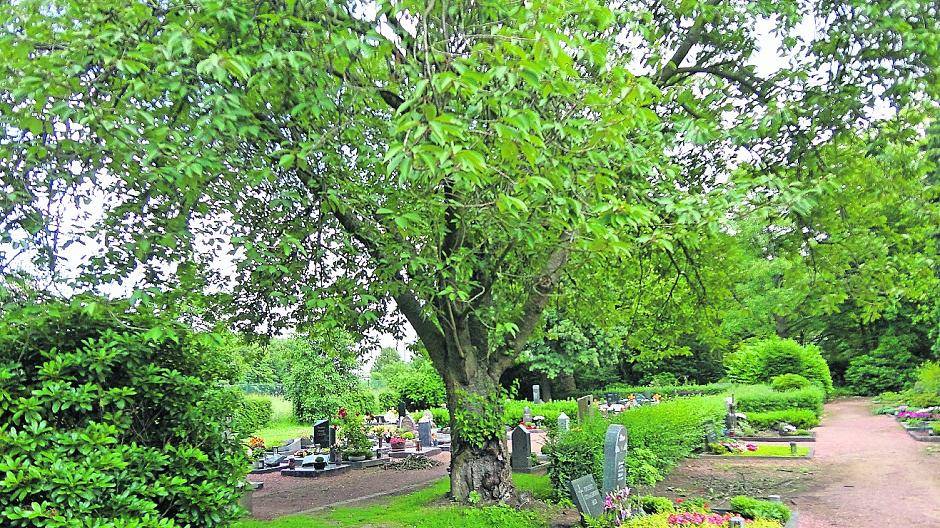 Grabstein ausgehebelt und falsche Schilder im Umlauf