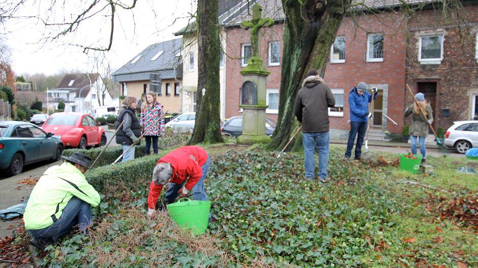  Die Beseitigung des abgefallenen Laubs ist eine wirksame Maßnahme im Kampf gegen die Kasanien-Miniermotte. 