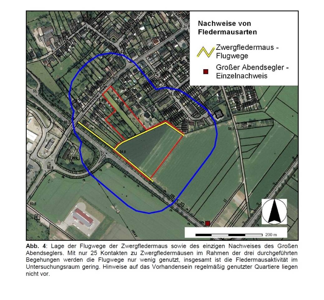  Gelb eingezeichnet sind die Flugbahnen der Zwergfledermäuse. Der rote Punkt rechts unten gibt den Ort wieder, wo der „Große Abendsegler“ gesichtet wurde. 