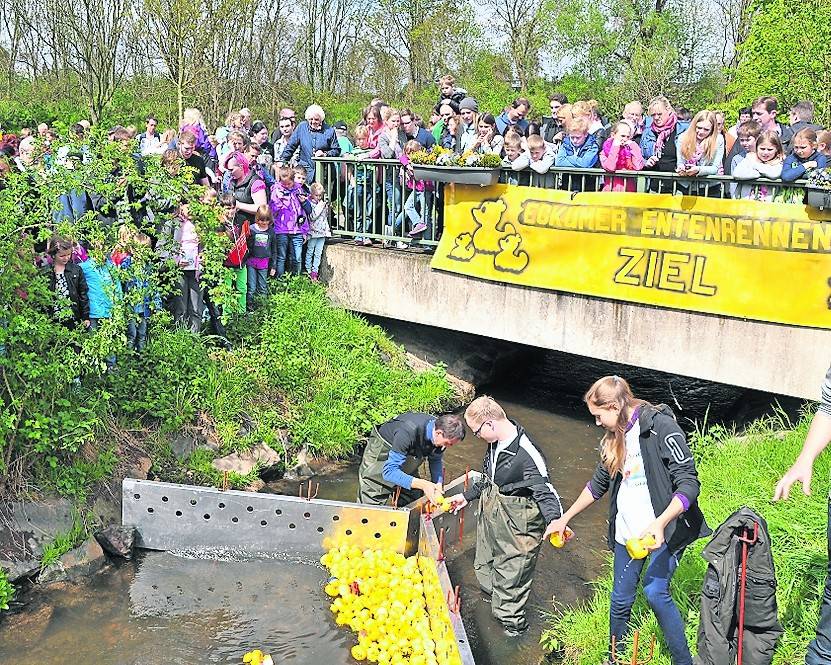  : Auf die Ente, fertig, los!