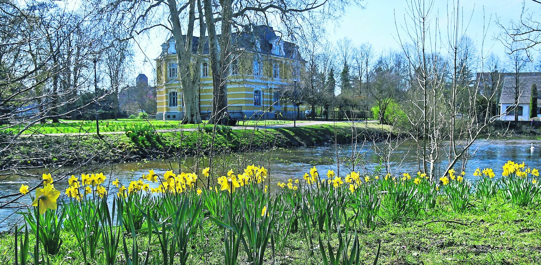  Frühling in der Grevenbroicher Innenstadt: Die gelben Narzissen erfreuen die Augen und dokumentieren zu gleich, wie engagiert die Grevenbroicher Bürgerschaft sich einbringen kann. Heiner Schnorrenberg will in die zweite Reihe zurück.Auch Tim Grevelhörster will seinen Posten räumen.Das Spielmobil der Stadt ist am kommenden Wochenende auch in der Innenstadt im Einsatz für die Kids der Schloss-Stadt.  