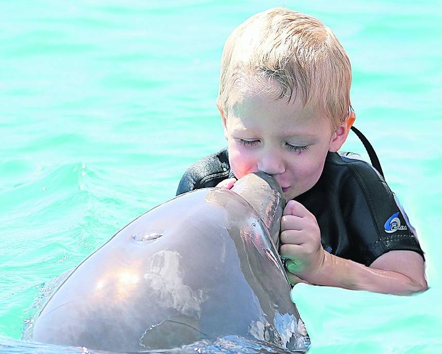  Jan mit Delfin Chabelita während eine Therapiesitzung auf Curacao.  