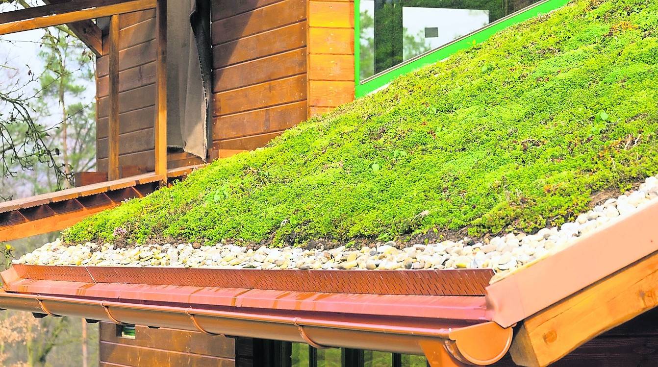   Rund 92.000 Gebäude beziehungsweise Dächer sind im Rhein-Kreis für eine Dachbegrünung geeignet.  