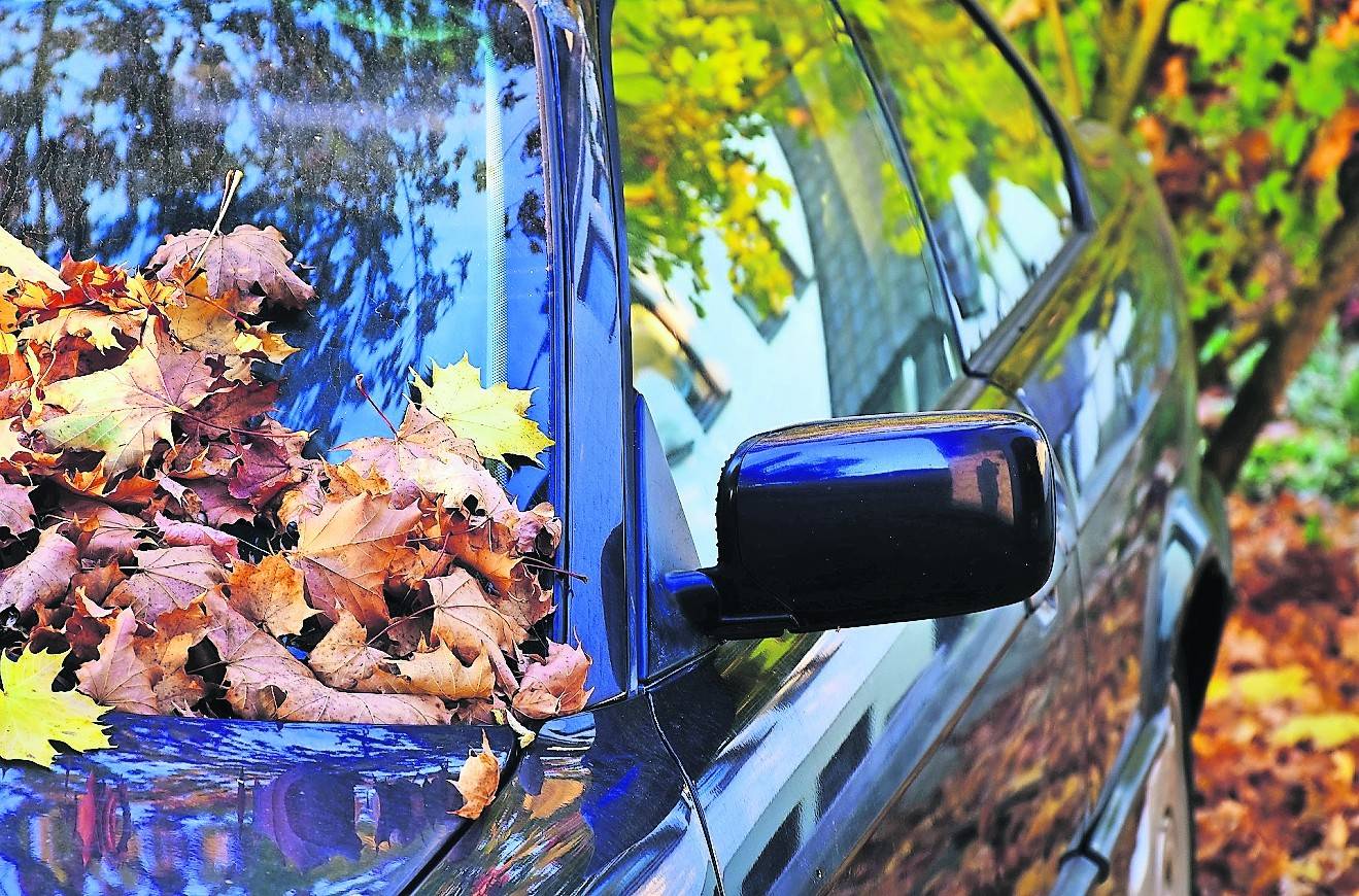 Der Herbst bringt jede Menge Herausforderungen für den Fahrer