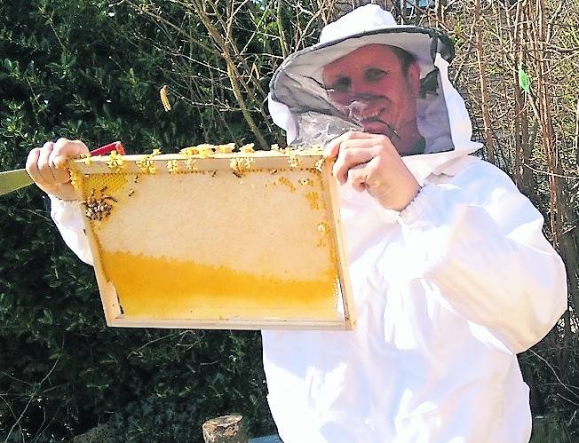 #Umweltschutz: Imker Seipold weiß: „Bienen bekommen mehr Probleme“
