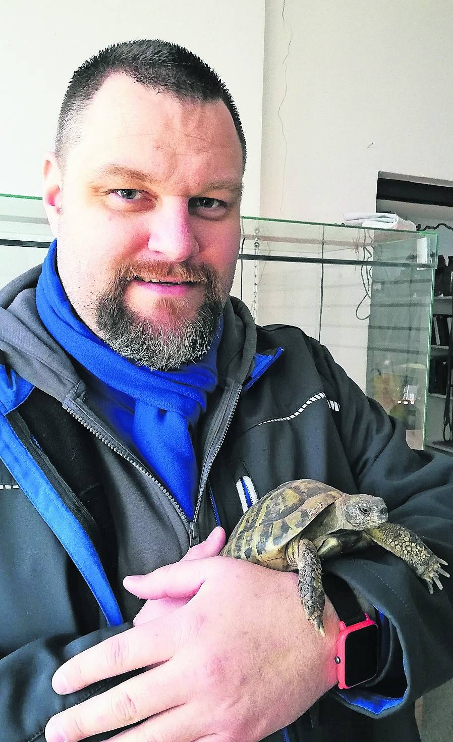 : Bunte Dachziegel als Spende an den Tierschutzverein