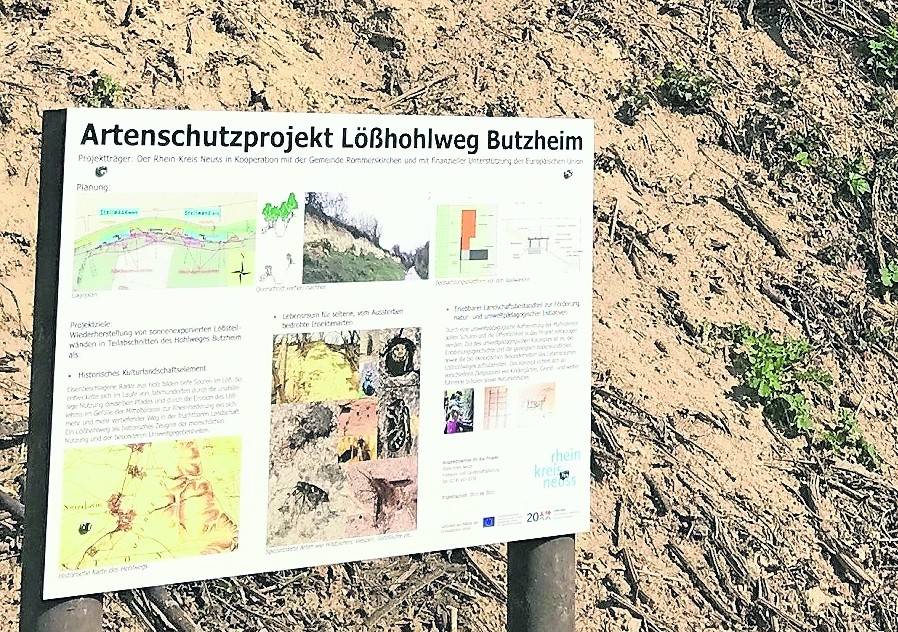  Auf Informationstafeln berichtet das Amt für Freiraum- und Landschaftsplanung des Rhein-Kreises über das Artenschutzprojekt am Butzheimer Lößhohlweg.  
