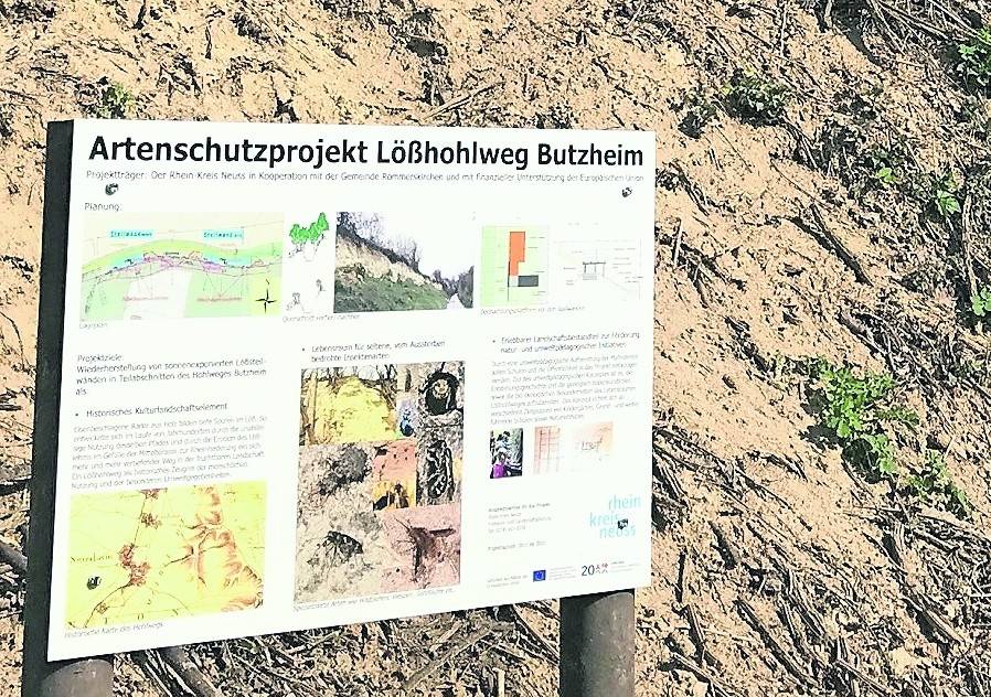 Butzheimer Lößhohlweg ist der bedeutendste der Region