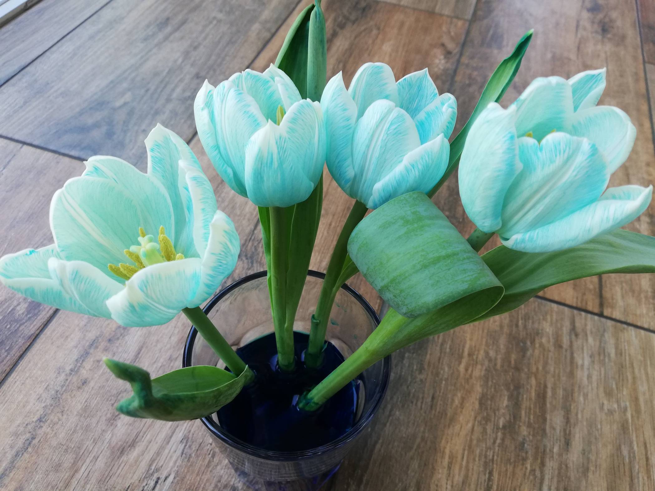 Heute wird gelöst, wie die Farbe in die Blumen kommt. 