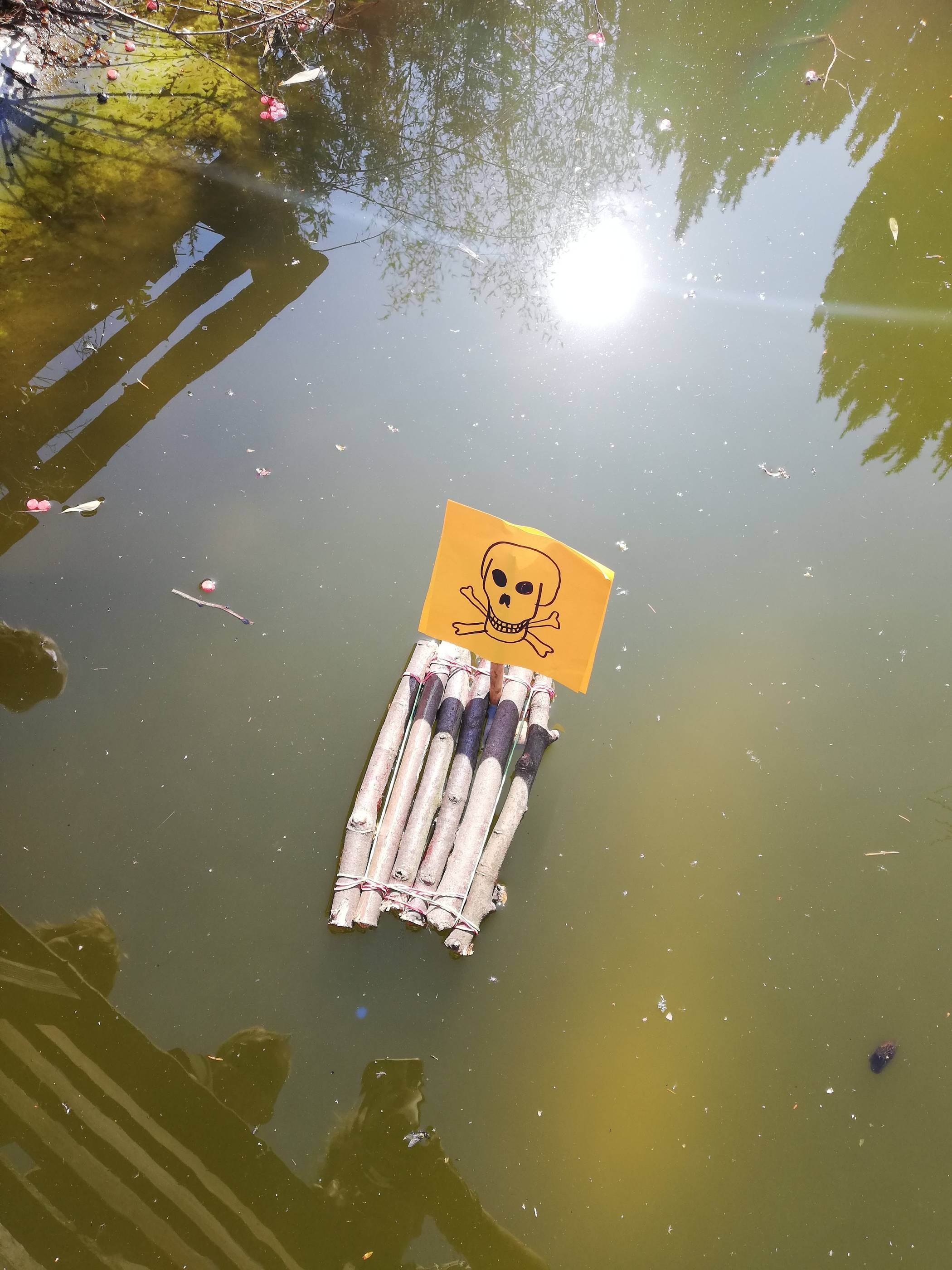  ... und der Schwimm-Test kann beginnen. 