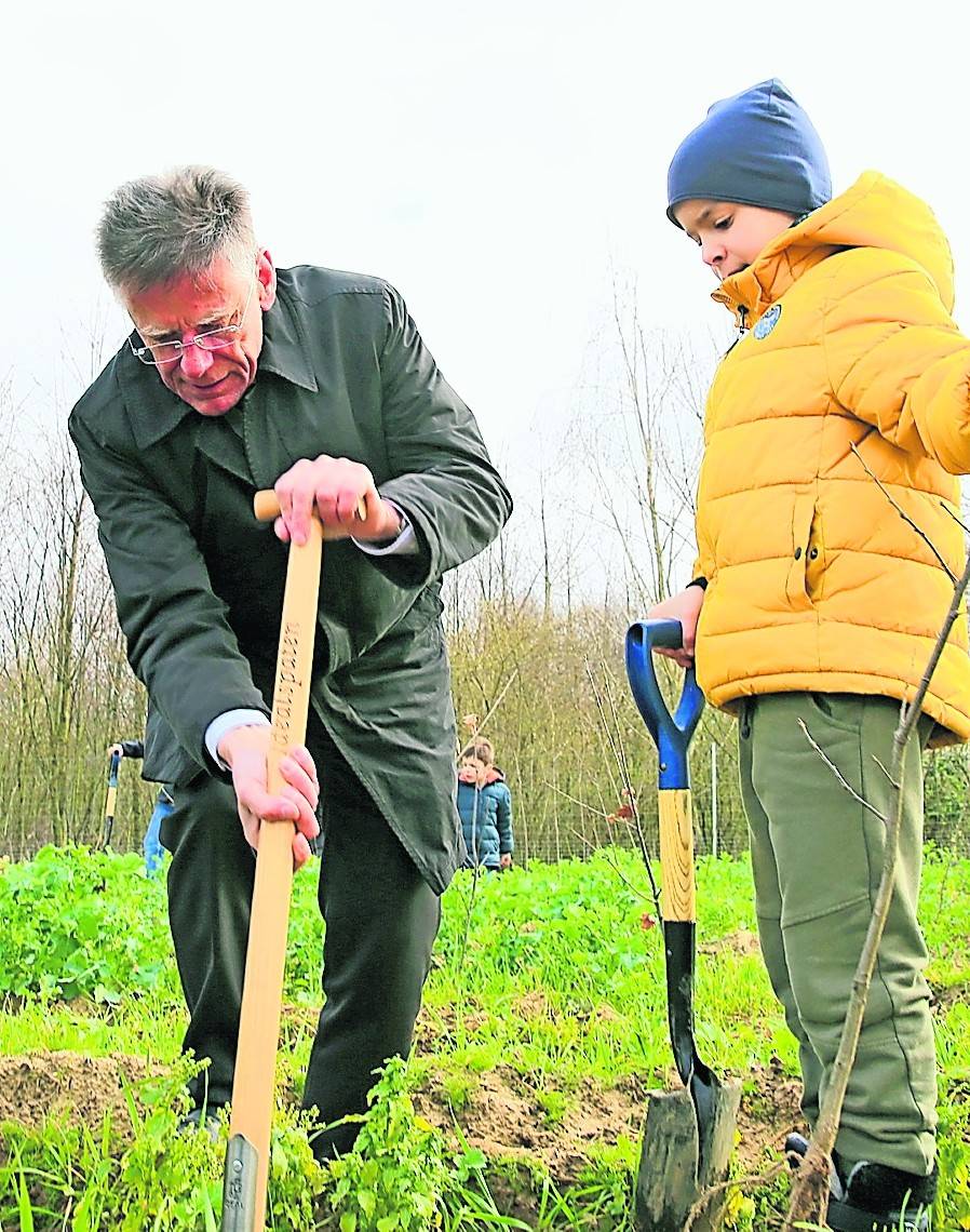  Im vergangenen Winter pflanzte Landrat Hans-Jürgen Petrauschke Bäume zusammen mit Kindern der Neusser Grundschule „Kyburg“.  
