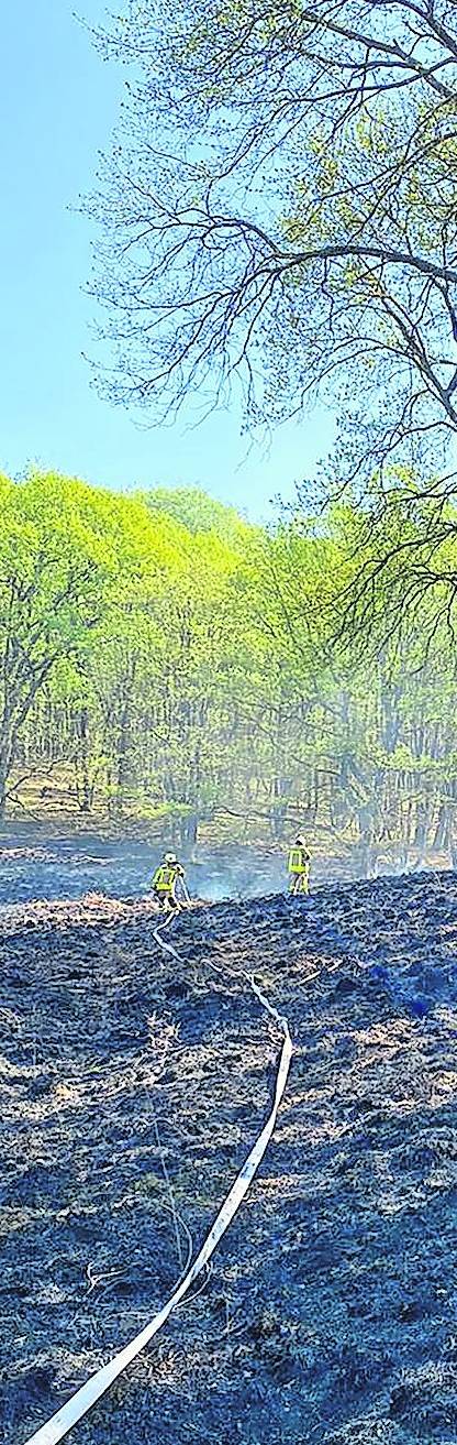 Gustorfer Florianer bei Waldbrand an holländischer Grenze im Einsatz