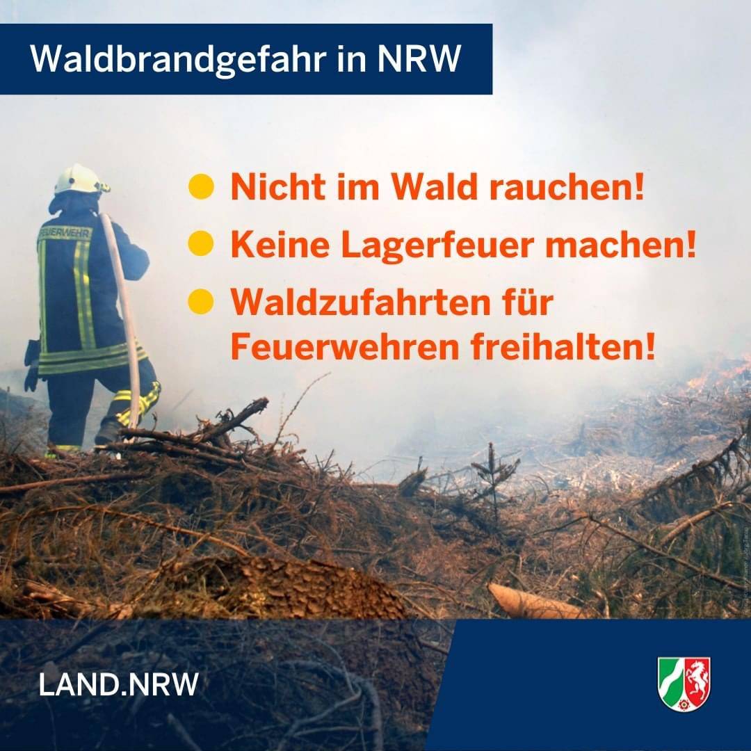 Auch unsere Wälder sind Gefahr!: Kräfte aus dem Rhein-Kreis unterstützen erneut beim Waldbrand in Niederkrüchten