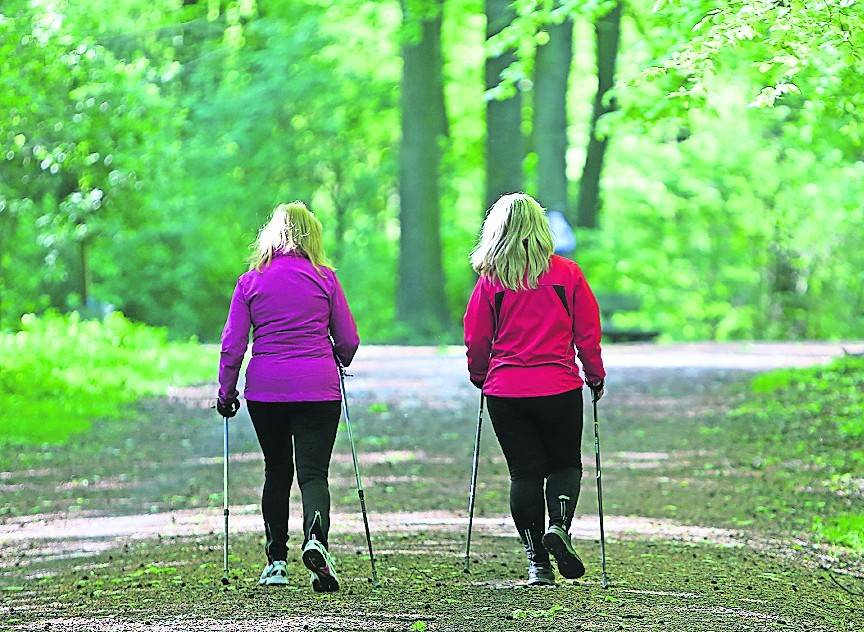  Wald und Holz sind in den trockenen Perioden in Gefahr. Hier ist Besucher gefordert aufzupassen. 