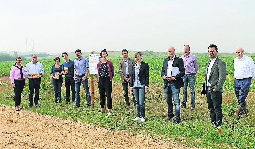  : Ackerbohne  Quinoa