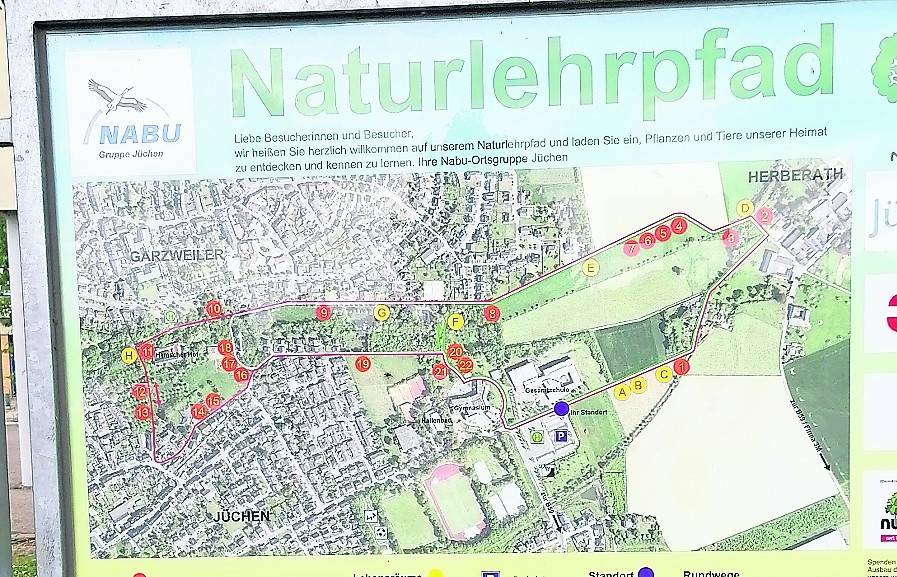  Man kann nur wirklich etwas schützen, wenn man es auch kennt... und das ist für die „Natur“ auch mehr als zutreffend! 