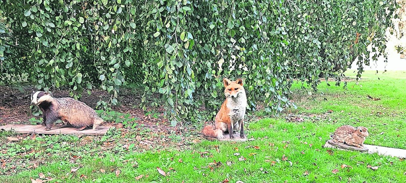  Eine Wohngemeinschaft mit Dachs, Fuchs und Hase? Die Grundschüler erfuhren hier die näehren Einzelheiten. 