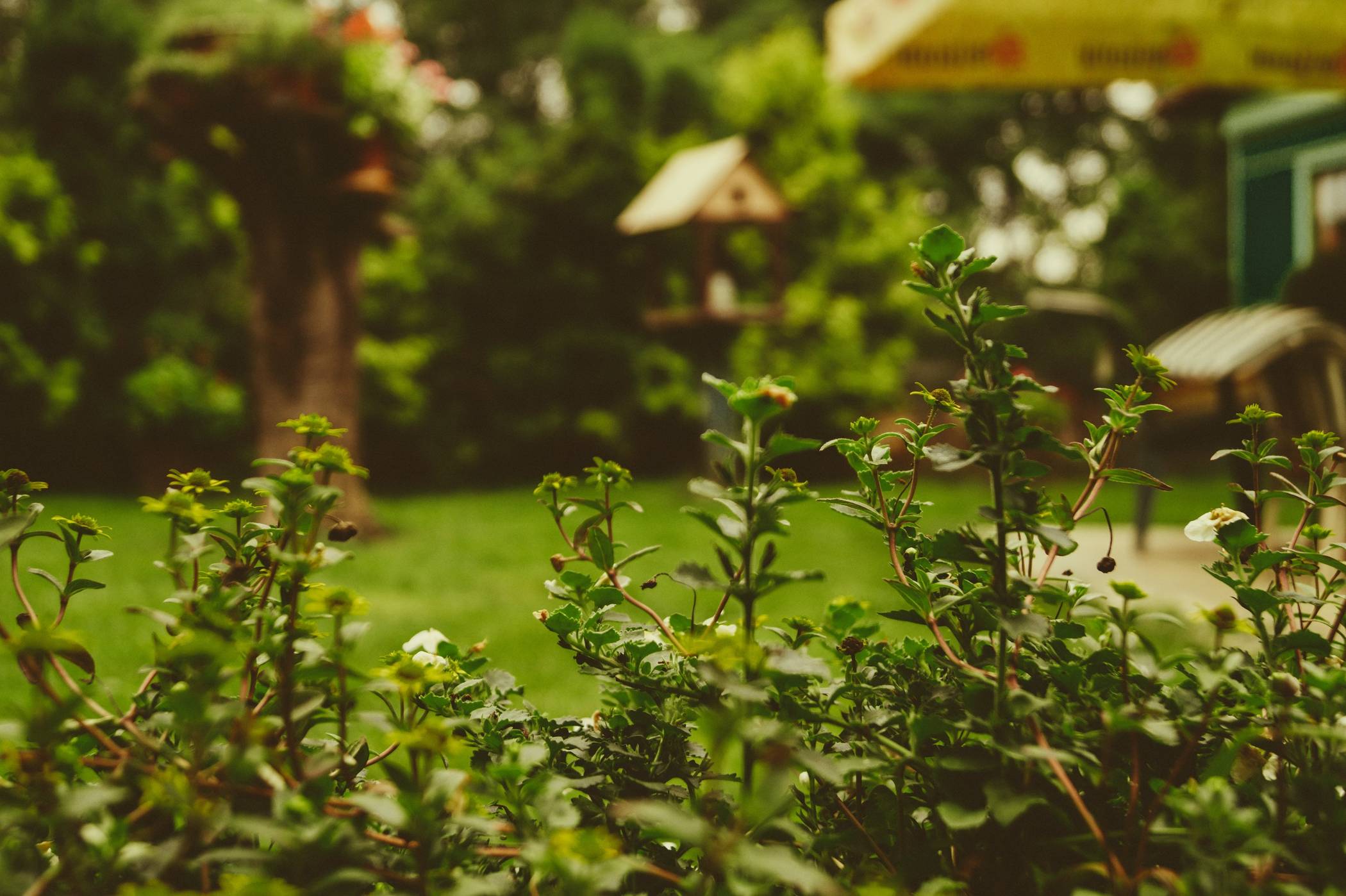 Moderne Gartengestaltung – Tipps und Ideen für ein stilvolles Ambiente im Garten!