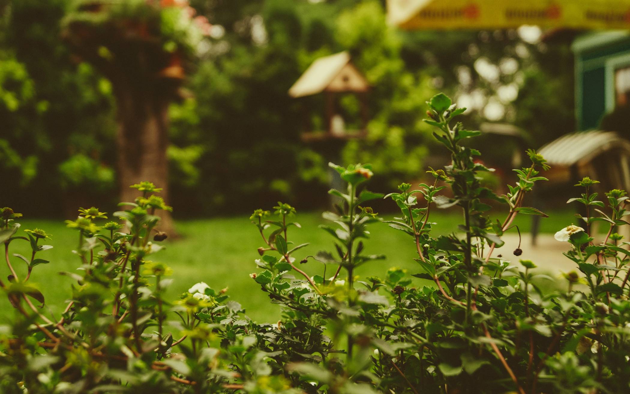 Moderne Gartengestaltung – Tipps und Ideen für ein stilvolles Ambiente im Garten!